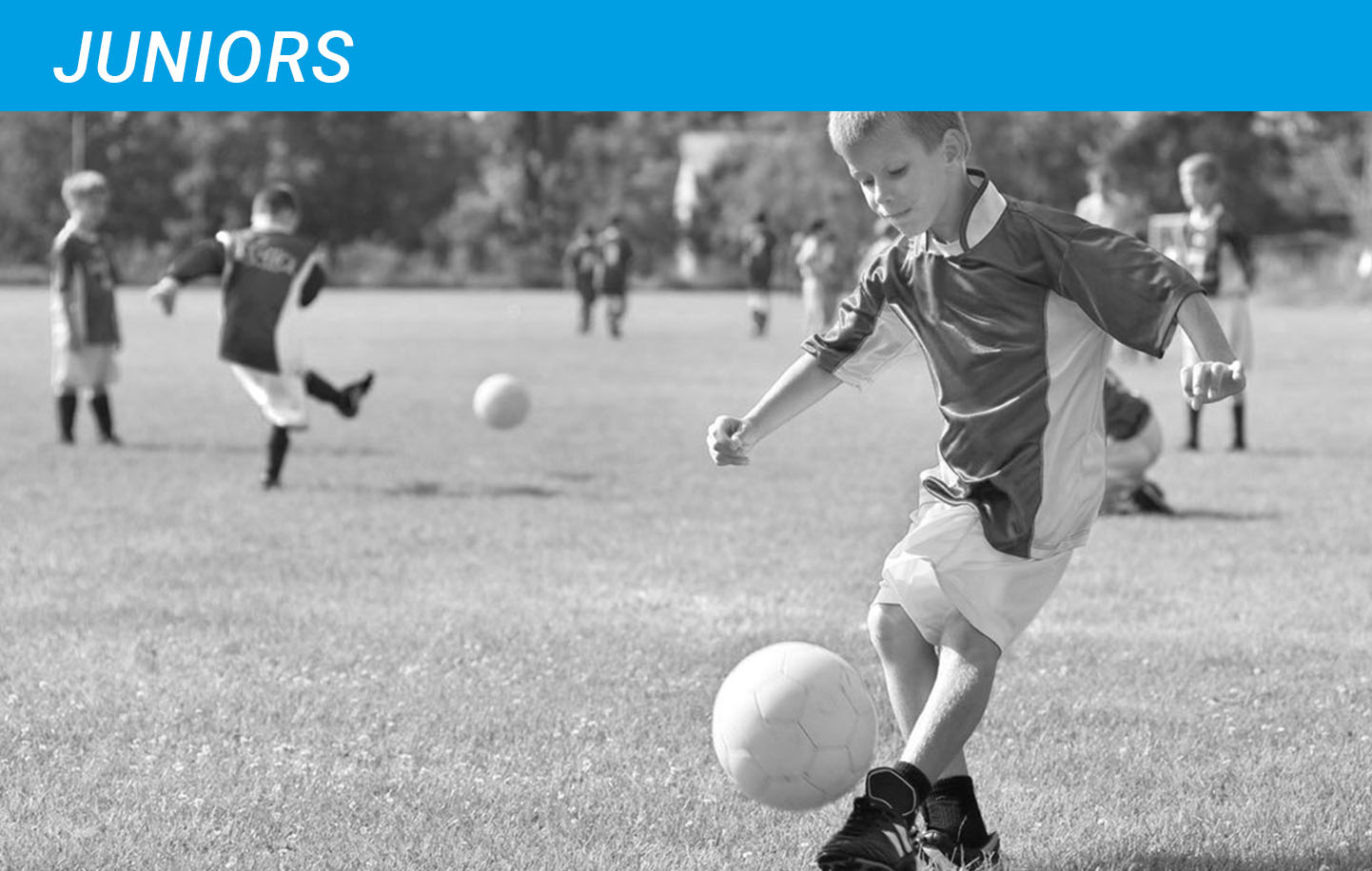 Juniors